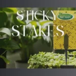 Sticky Stakes: Effective Pest Traps for Plants