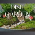 Unique Dish Garden Ideas to Brighten Up Your Home