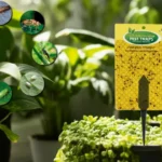 Sticky Stakes: Effective Pest Traps for Plants