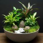 Unique Dish Garden Ideas to Brighten Up Your Home