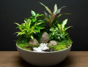 Read more about the article Unique Dish Garden Ideas to Brighten Up Your Home